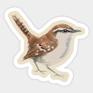 Carolina Wren – Charming Backyard Songbird Sticker